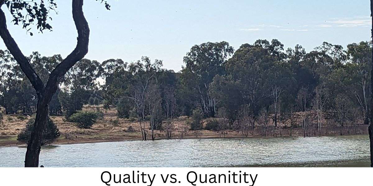 quality vs quanity